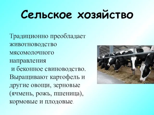 Сельское хозяйство Традиционно преобладает животноводство мясомолочного направления и беконное свиноводство. Выращивают картофель