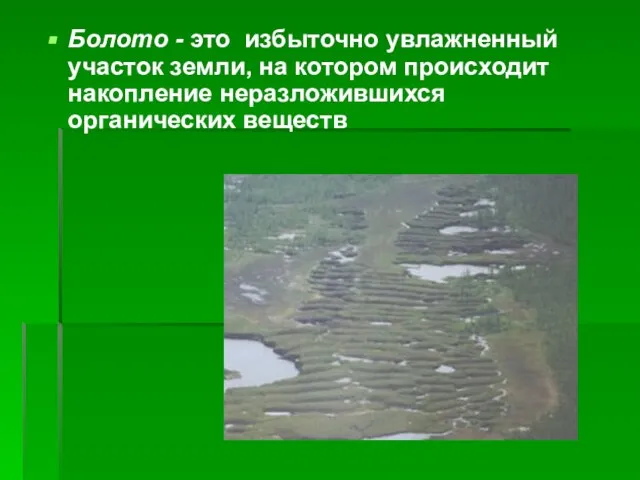 Болото - это избыточно увлажненный участок земли, на котором происходит накопление неразложившихся органических веществ