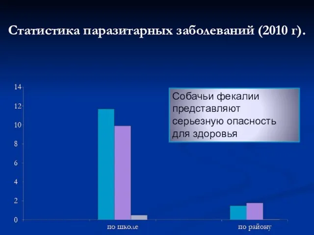 Статистика паразитарных заболеваний (2010 г). Собачьи фекалии представляют серьезную опасность для здоровья