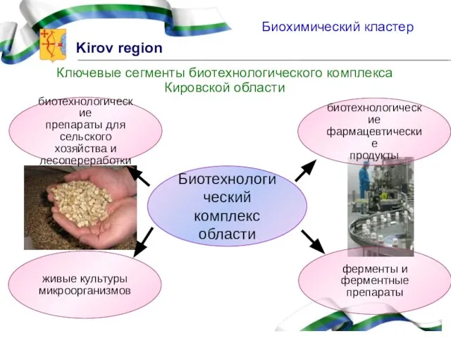 Ключевые сегменты биотехнологического комплекса Кировской области Биотехнологический комплекс области биотехнологические препараты для