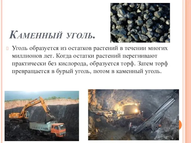 Каменный уголь. Уголь образуется из остатков растений в течении многих миллионов лет.
