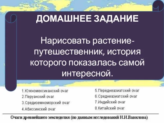 ДОМАШНЕЕ ЗАДАНИЕ Нарисовать растение-путешественник, история которого показалась самой интересной.