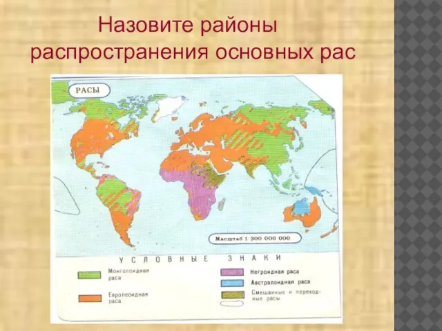 Назовите районы распространения основных рас