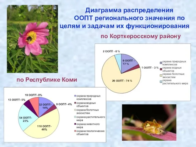 Диаграмма распределения ООПТ регионального значения по целям и задачам их функционирования 26