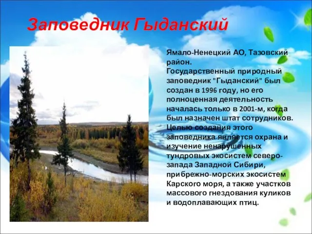 Заповедник Гыданский Ямало-Ненецкий АО, Тазовский район. Государственный природный заповедник "Гыданский" был создан