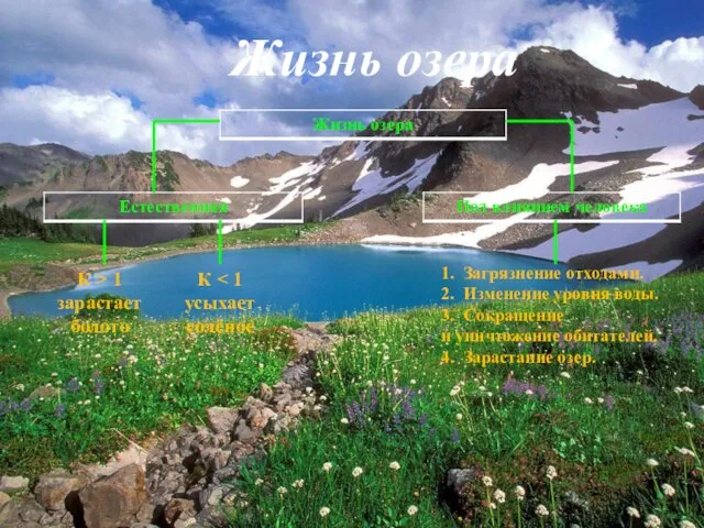 Жизнь озера К > 1 зарастает болото 1. Загрязнение отходами. 2. Изменение