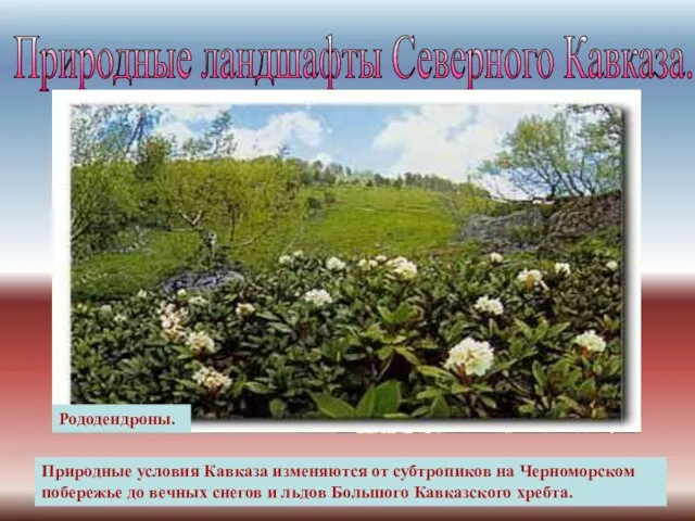 Вид на Эльбрус Поляна перед перевалом Кват. Природные условия Кавказа изменяются от