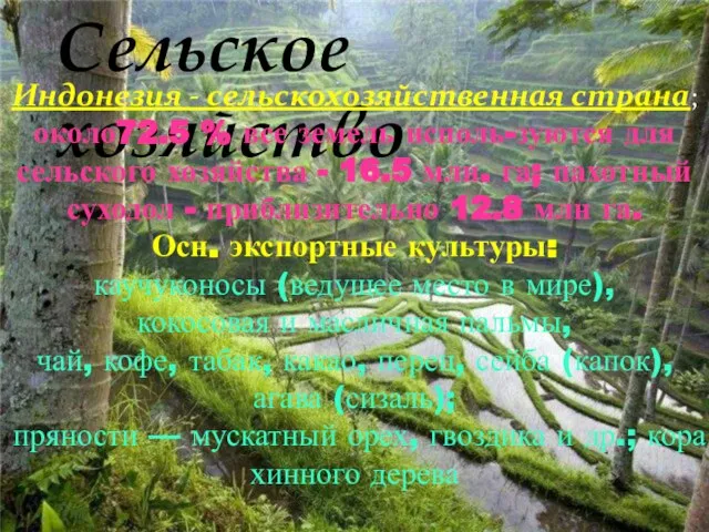 Сельское хозяйство Индонезия - сельскохозяйственная страна; около72.5 % все земель исполь-зуются для