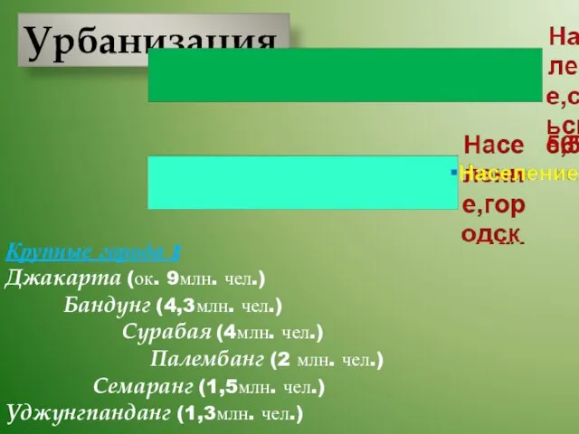 Урбанизация Крупные города : Джакарта (ок. 9млн. чел.) Бандунг (4,3млн. чел.) Сурабая