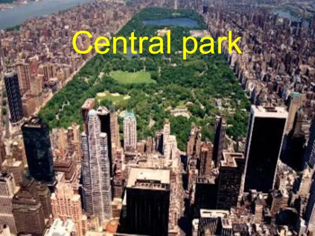 Central park