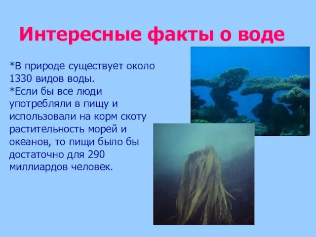 Интересные факты о воде *В природе существует около 1330 видов воды. *Если