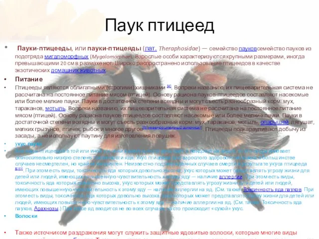 Паук птицеед Пауки-птицееды, или пауки-птицеяды (лат. Theraphosidae) — семейство пауковсемейство пауков из