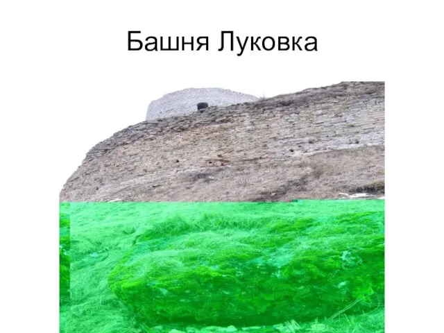 Башня Луковка