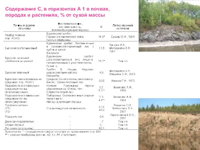 Содержание С, в горизонтах А 1 в почвах, породах и растениях, % от сухой массы