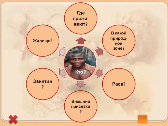 Жилище? Где прожи-вают? В какой природ-ной зоне? Раса? Внешние признаки? Занятия? пигмеи