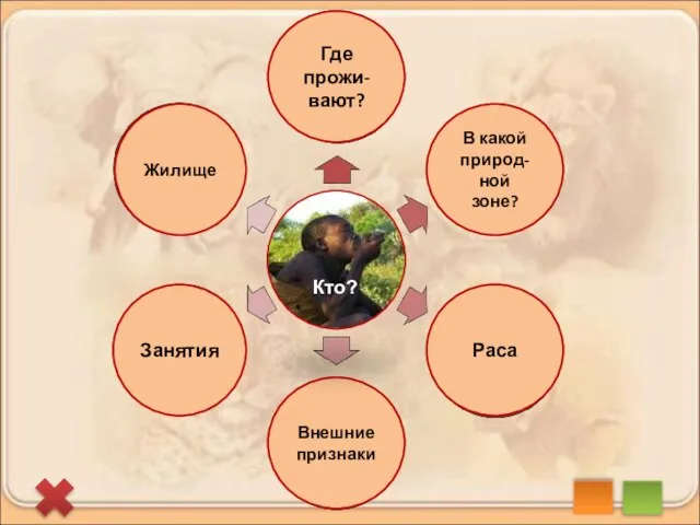 Жилище Где прожи-вают? В какой природ-ной зоне? Раса Внешние признаки Занятия бушмен