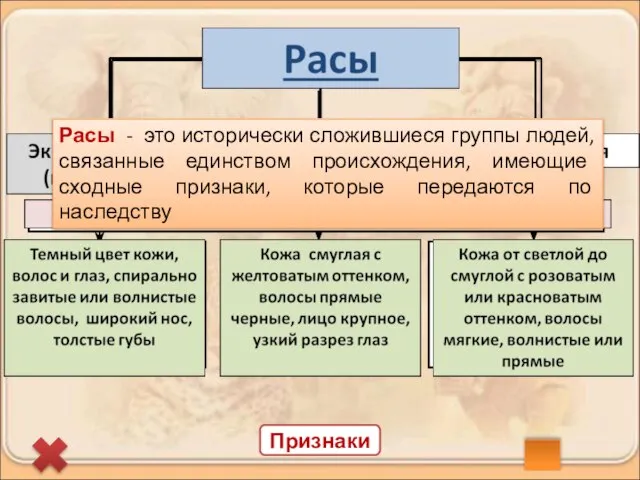 Признаки Расы - это исторически сложившиеся группы людей, связанные единством происхождения, имеющие