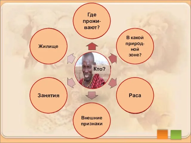 Жилище Где прожи-вают? В какой природ-ной зоне? Раса Внешние признаки Занятия масаи