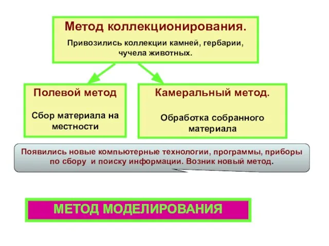 Метод коллекционирования. Привозились коллекции камней, гербарии, чучела животных. Полевой метод Сбор материала