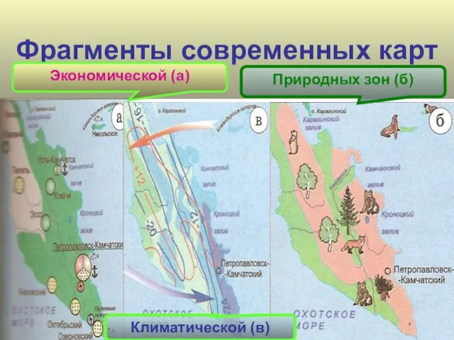 Фрагменты современных карт Экономической (а) Природных зон (б) Климатической (в)