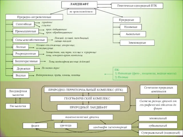 ЛАНДШАФТ Генетически однородный ПТК Сельскохозяйственные Селитебные Природные Природно-антропогенные ПРИРОДНО-ТЕРРИТОРИАЛЬНЫЙ КОМПЛЕКС (ПТК) ПРИРОДНЫЙ