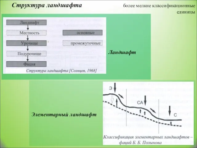 Структура ландшафта более мелкие классификационные единицы Ландшафт Элементарный ландшафт