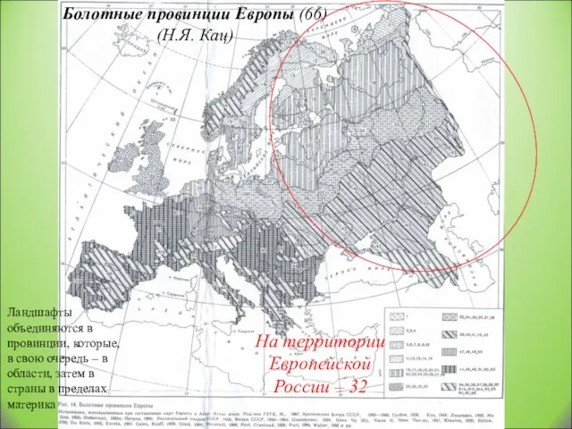 Болотные провинции Европы (66) (Н.Я. Кац) На территории Европейской России – 32