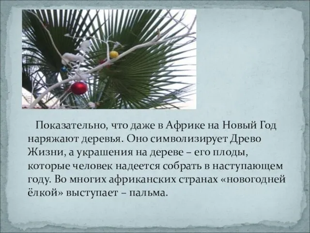 Показательно, что даже в Африке на Новый Год наряжают деревья. Оно символизирует