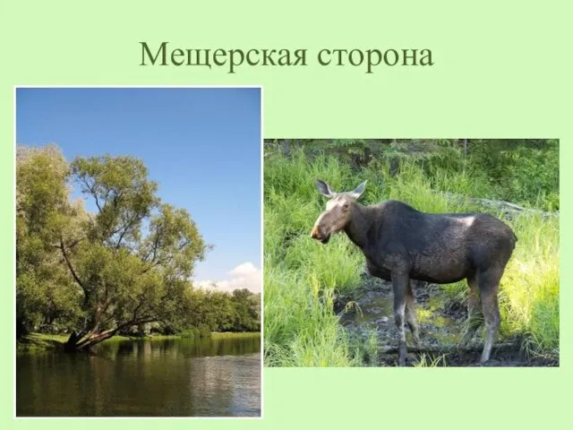 Мещерская сторона