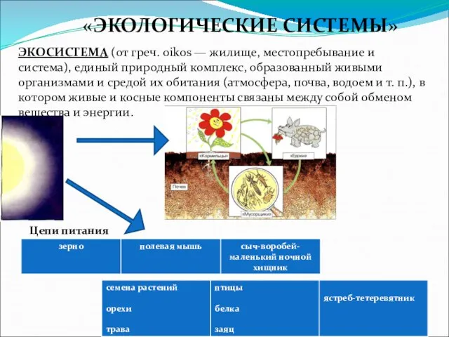 «ЭКОЛОГИЧЕСКИЕ СИСТЕМЫ» ЭКОСИСТЕМА (от греч. oikos — жилище, местопребывание и система), единый