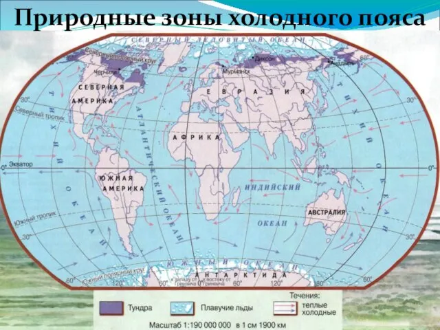 Природные зоны холодного пояса