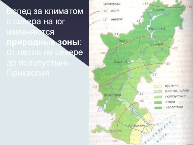 Вслед за климатом с севера на юг изменяются природные зоны: от лесов