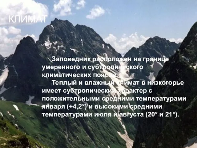 КЛИМАТ Заповедник расположен на границе умеренного и субтропического климатических поясов. Теплый и