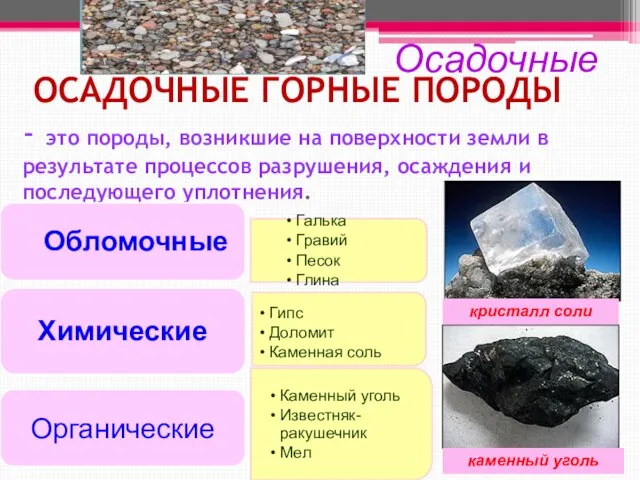 Осадочные кристалл соли каменный уголь ОСАДОЧНЫЕ ГОРНЫЕ ПОРОДЫ - это породы, возникшие