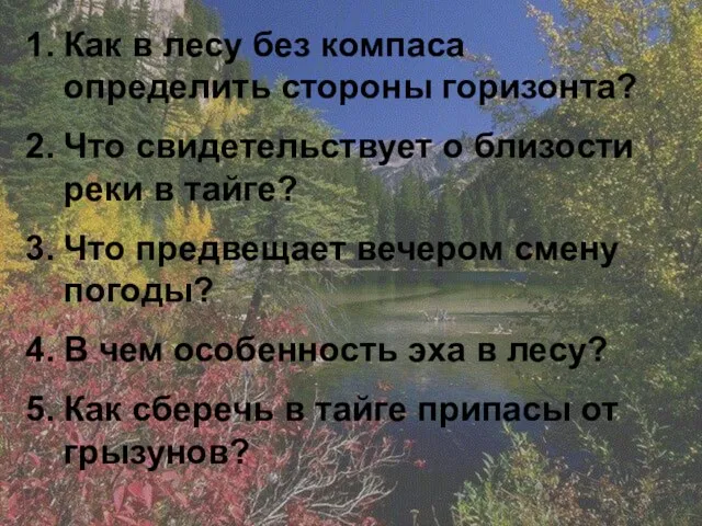 Как в лесу без компаса определить стороны горизонта? Что свидетельствует о близости