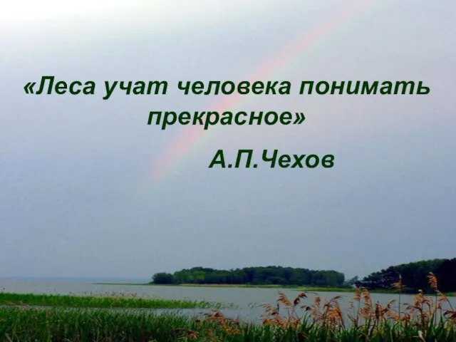 «Леса учат человека понимать прекрасное» А.П.Чехов