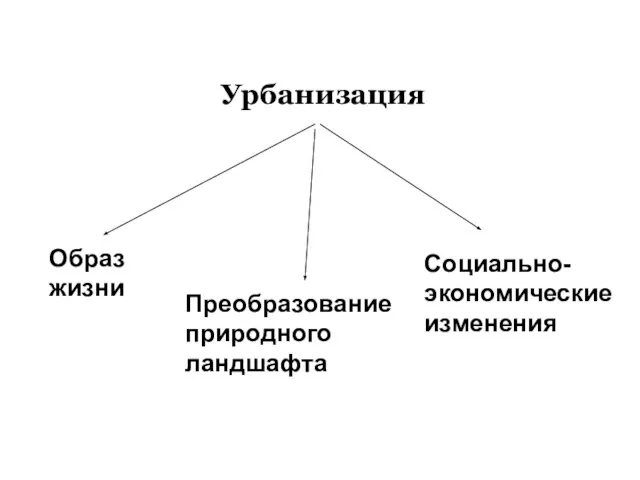 Урбанизация Образ жизни Преобразование природного ландшафта Социально-экономические изменения