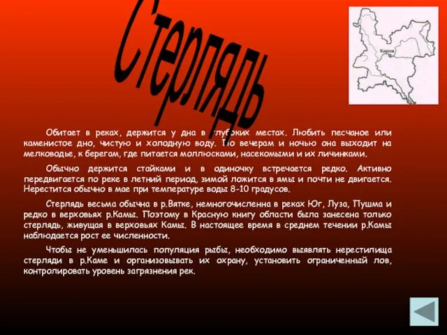 Обитает в реках, держится у дна в глубоких местах. Любить песчаное или