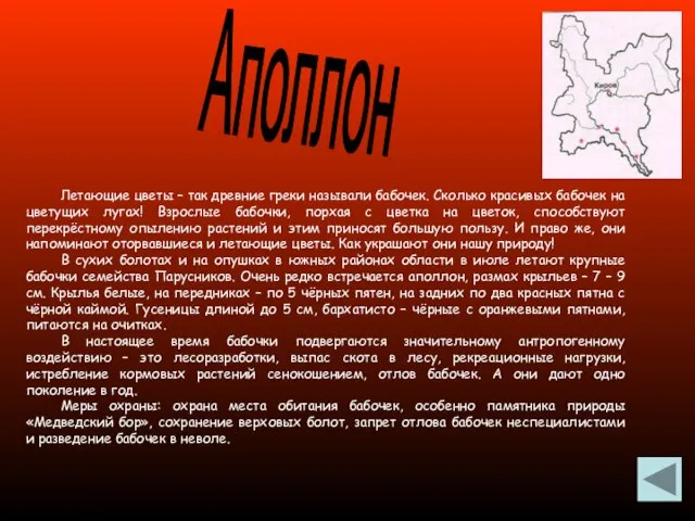 Аполлон Летающие цветы – так древние греки называли бабочек. Сколько красивых бабочек