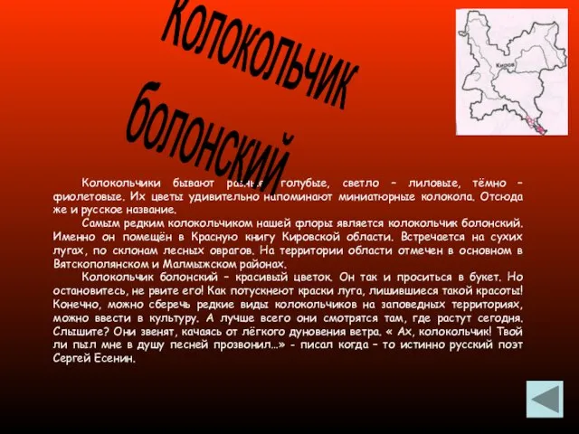 Колокольчики бывают разные: голубые, светло – лиловые, тёмно – фиолетовые. Их цветы