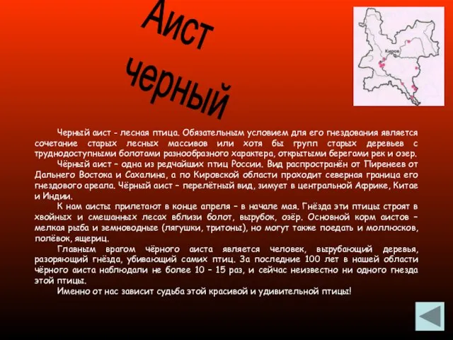 Черный аист - лесная птица. Обязательным условием для его гнездования является сочетание