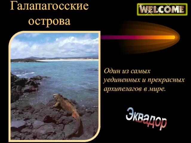 Галапагосские острова Один из самых уединенных и прекрасных архипелагов в мире. Эквадор