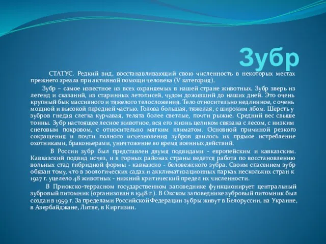 Зубр СТАТУС. Редкий вид, восстанавливающий свою численность в некоторых местах прежнего ареала