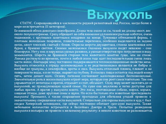 Выхухоль СТАТУС. Сокращающийся в численности редкий реликтовый вид России, нигде более в