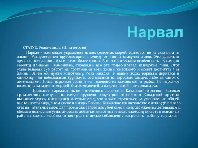 Нарвал СТАТУС. Редкие виды (III категория) Нарвал – настоящее украшение наших северных