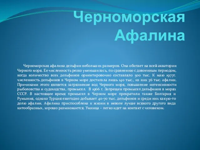 Черноморская Афалина Черноморская афалина дельфин небольших размеров. Она обитает на всей акватории