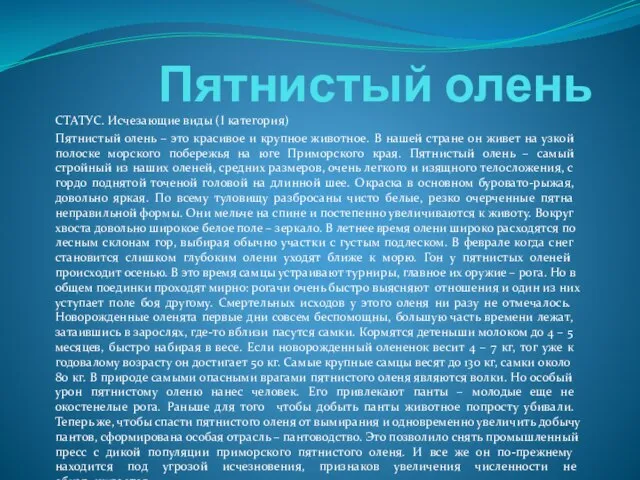 Пятнистый олень СТАТУС. Исчезающие виды (I категория) Пятнистый олень – это красивое