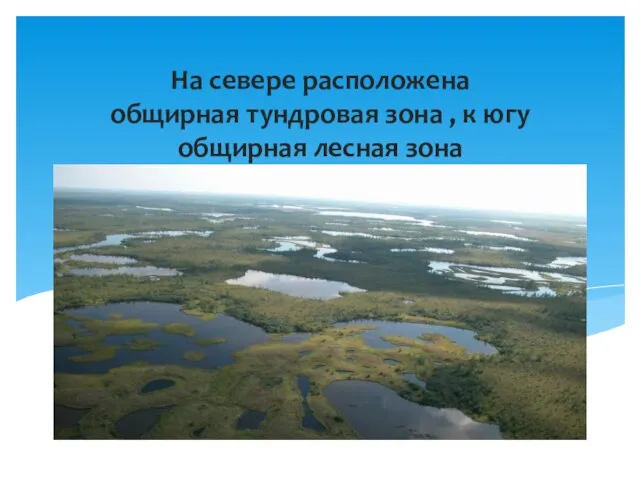 На севере расположена общирная тундровая зона , к югу общирная лесная зона