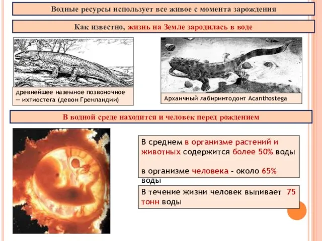 Водные ресурсы использует все живое с момента зарождения Как известно, жизнь на