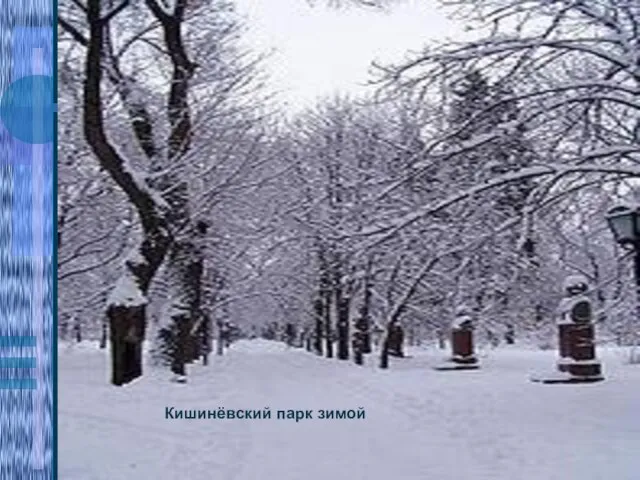 Кишинёвский парк зимой